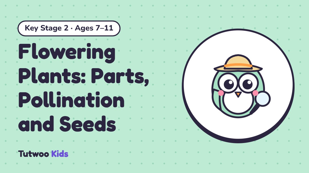 Flowering Plants: Parts, Pollination and Seeds