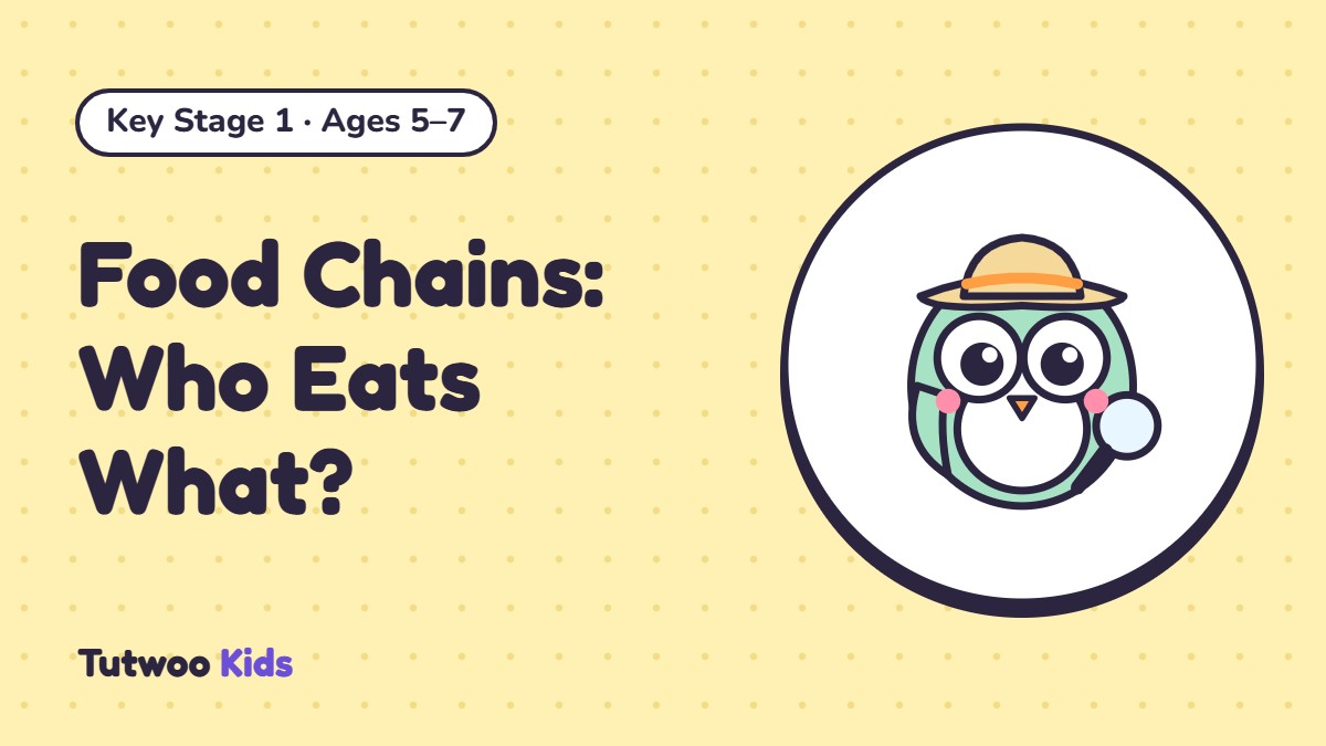 Food Chains: Who Eats What?