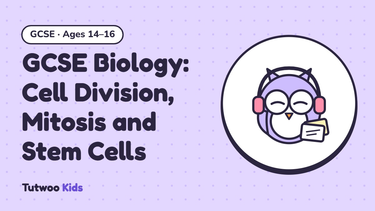 GCSE Biology: Cell Division, Mitosis and Stem Cells