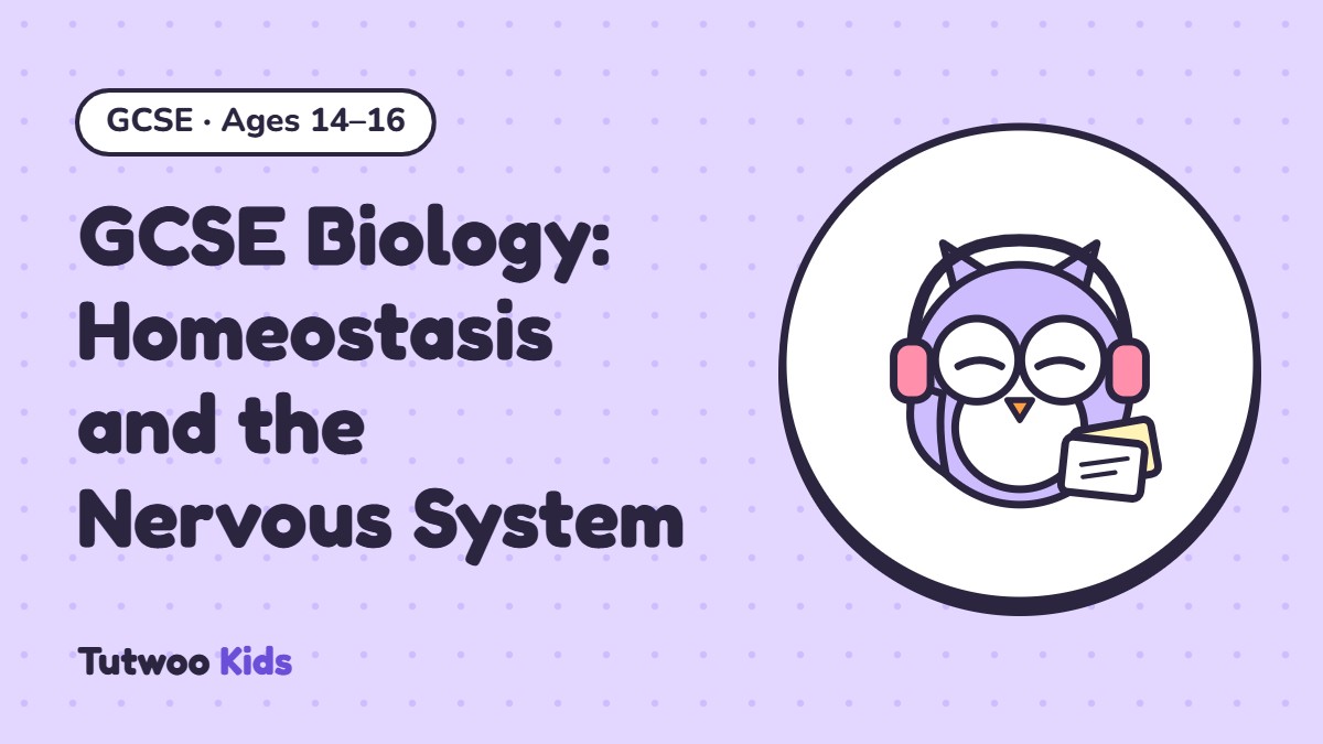 GCSE Biology: Homeostasis and the Nervous System