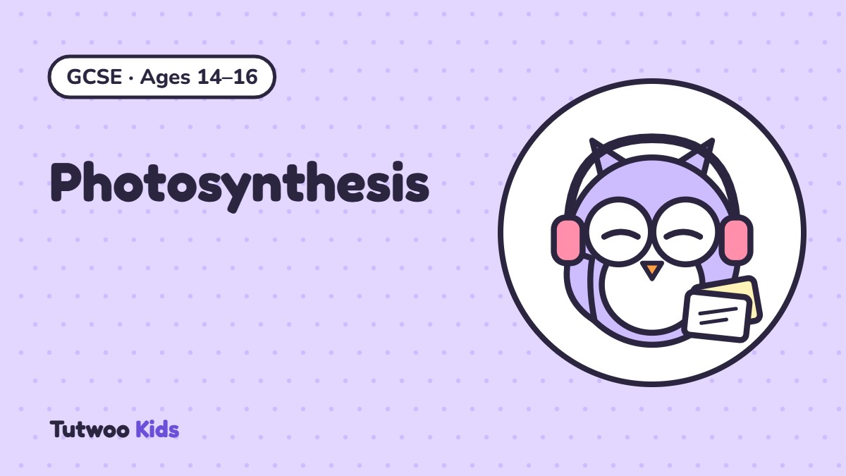 GCSE Biology: Photosynthesis