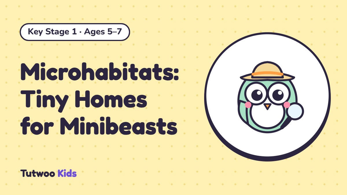 Microhabitats: Tiny Homes for Minibeasts