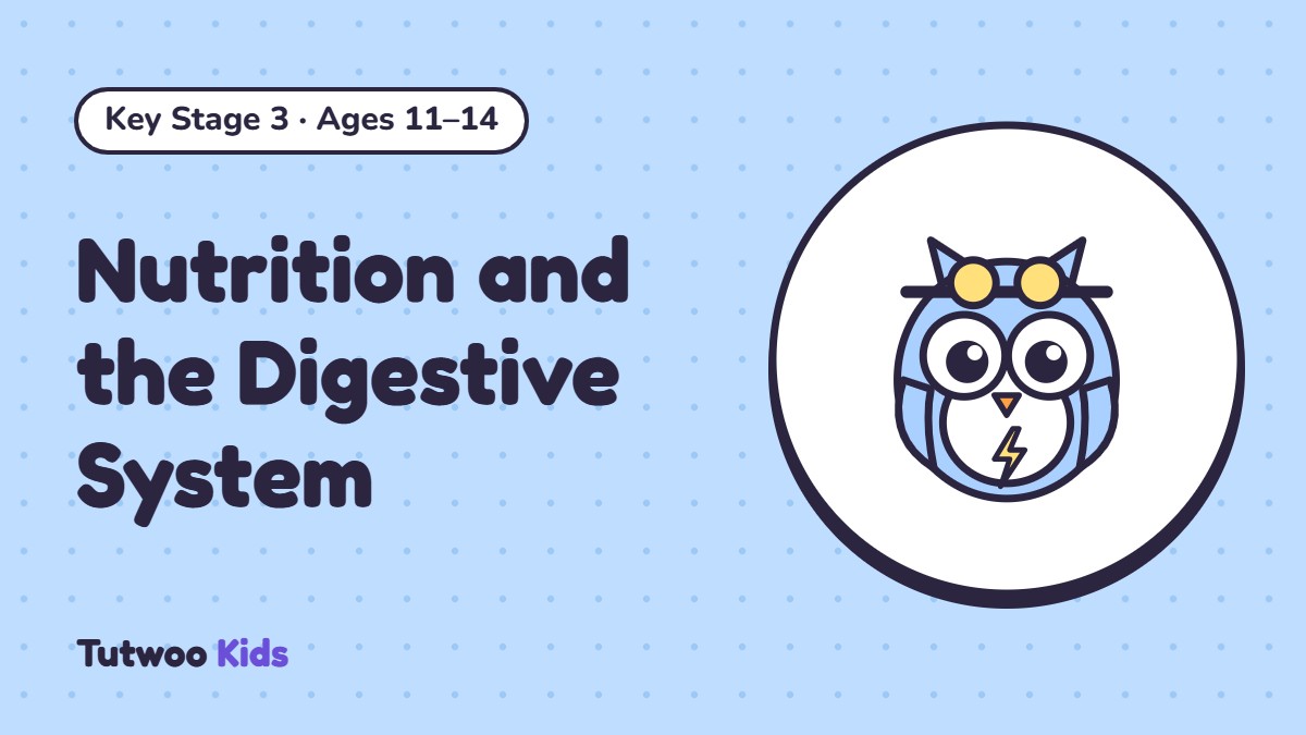 Nutrition and the Digestive System
