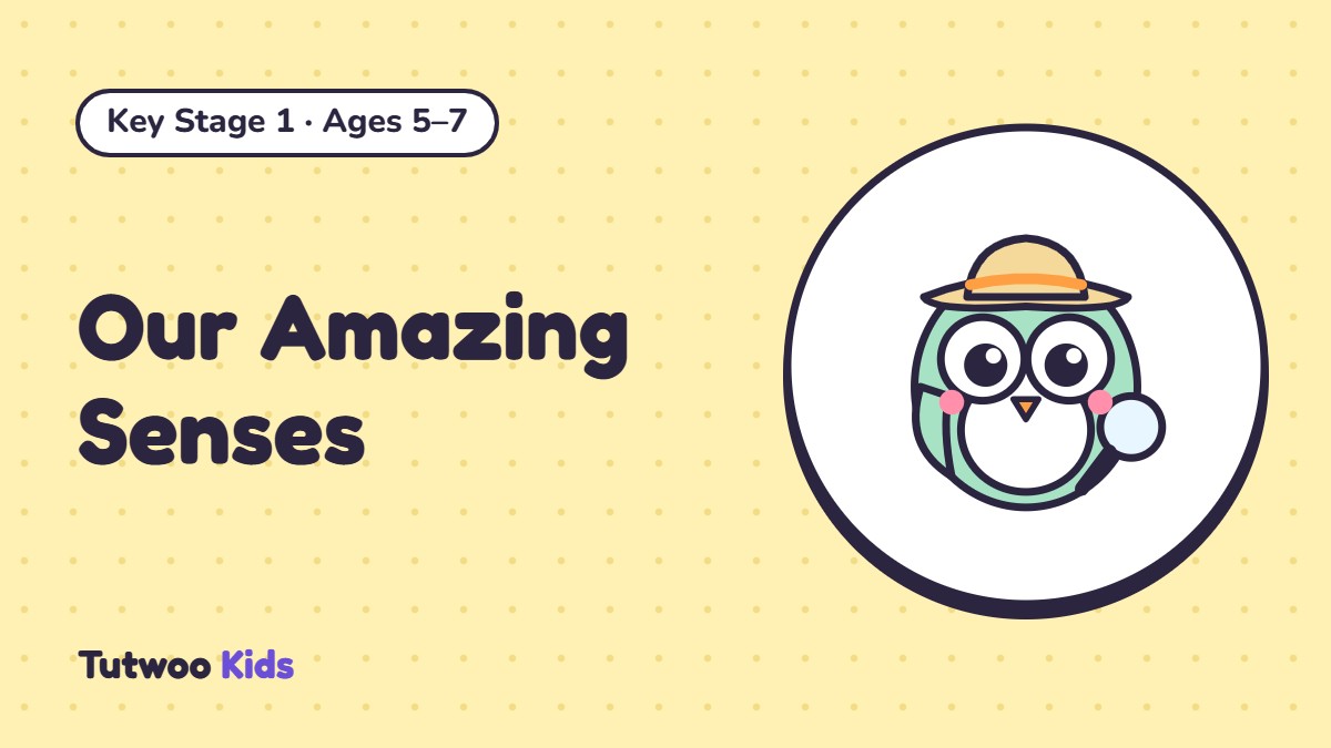 Our Amazing Senses