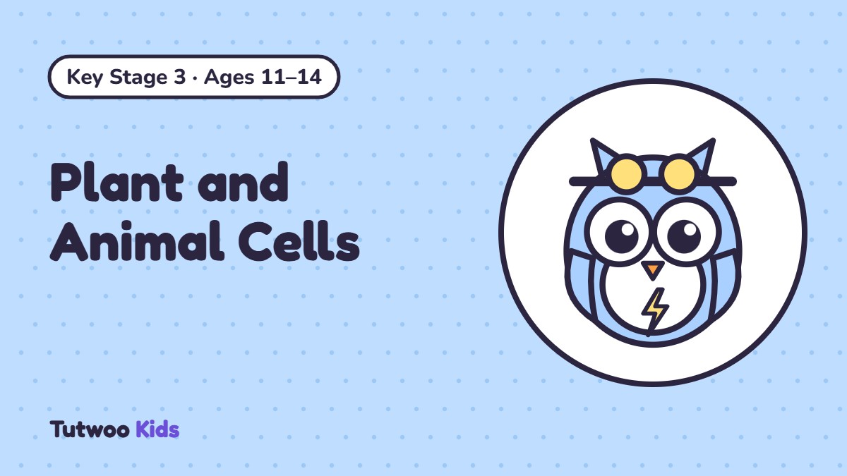 Plant and Animal Cells