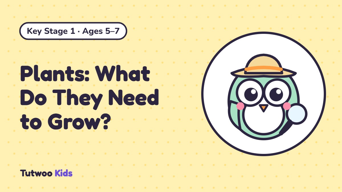 Plants: What Do They Need to Grow?