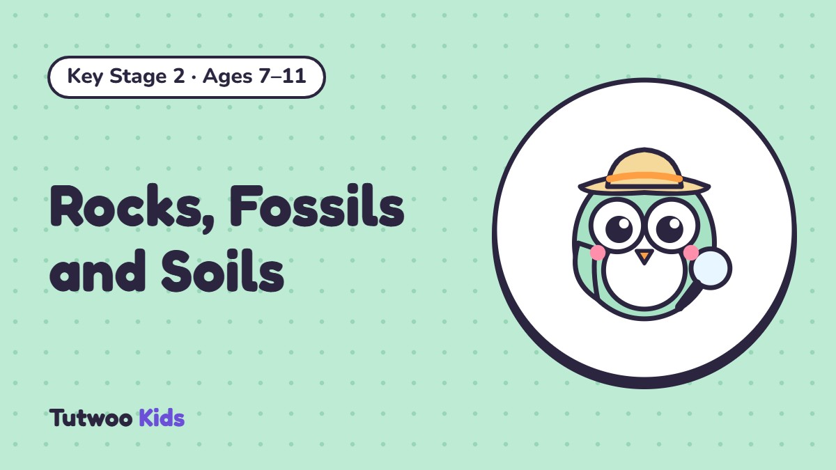 Rocks, Fossils and Soils