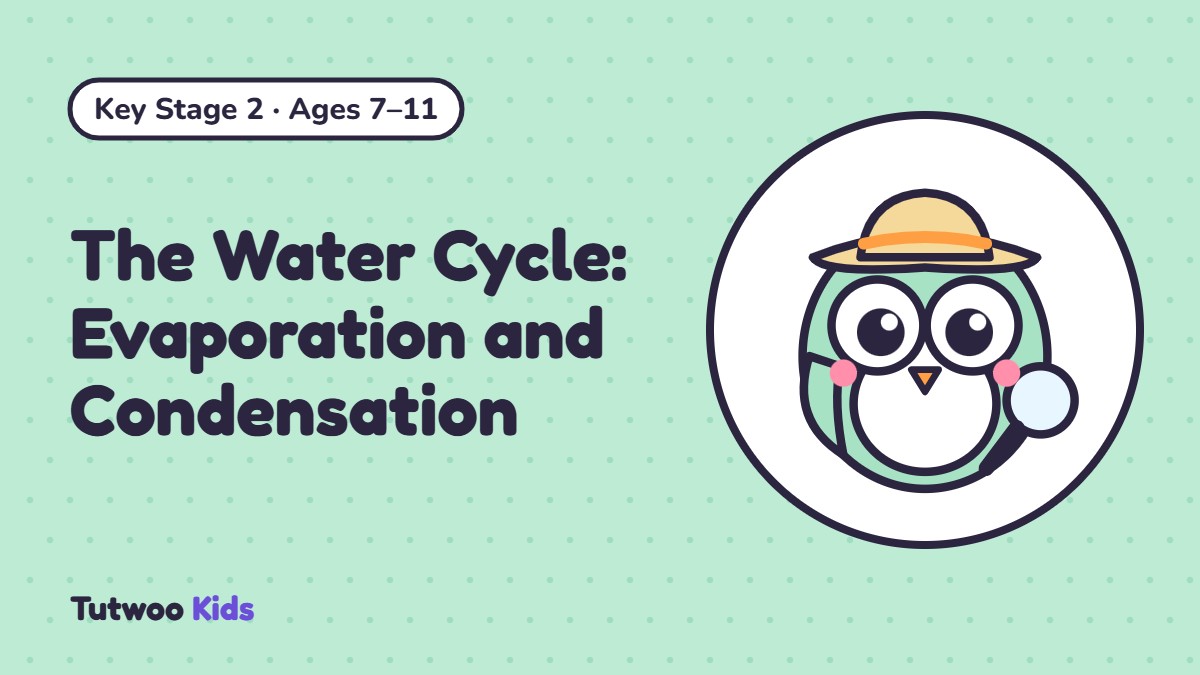 The Water Cycle: Evaporation and Condensation
