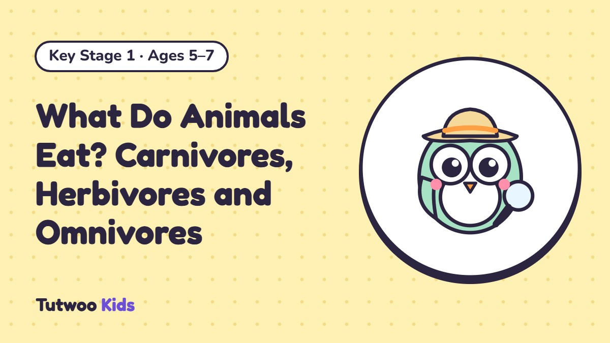 What Do Animals Eat? Carnivores, Herbivores and Omnivores